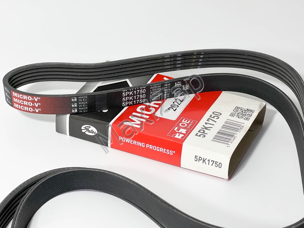 COURROIE TRAPEZOIDALE A NERVURZE-5PK1750